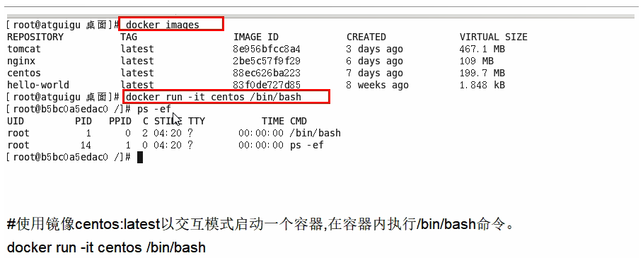 image-20210519144837032