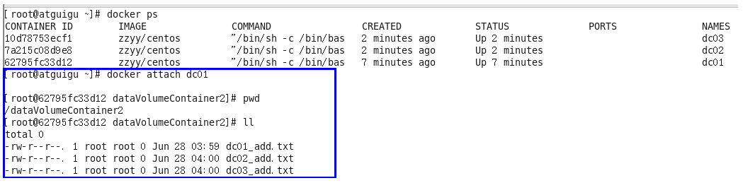 image-20210525173530503