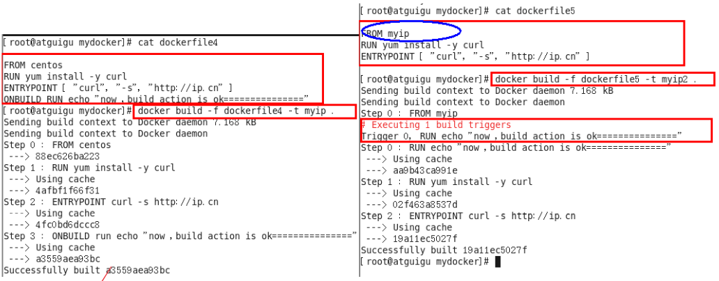 image-20210528152445200