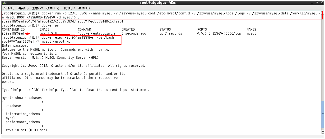 image-20210602114309822